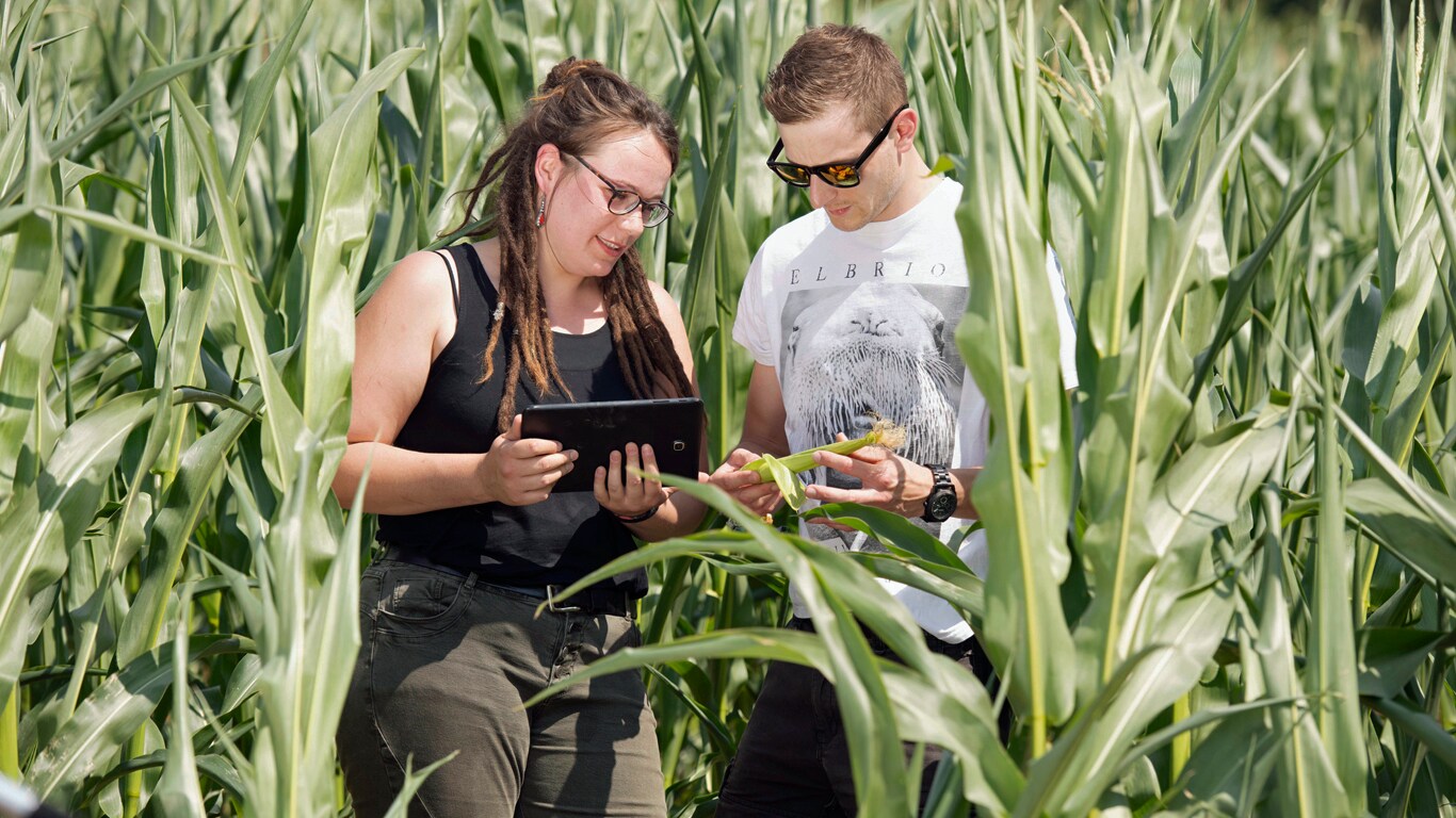 Der Studiengang Precision Farming kombiniert Agrarwissenschaften mit Informatik und betriebswirtschaftlichen Grundlagen
